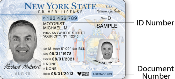 Lost Pennsylvania Drivers License